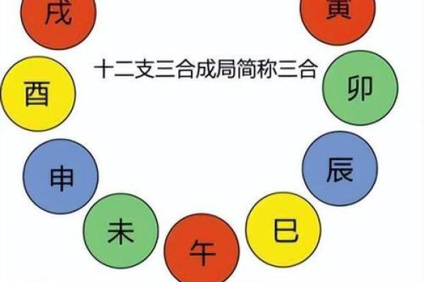 破解地支相冲，运势翻倍秘籍大公开
