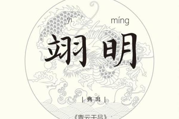 梦轩雅韵，人生如画——揭秘姓名中的运势奥秘
