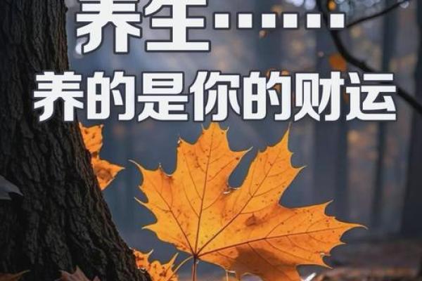 健康密码：地支运气教你养生之道