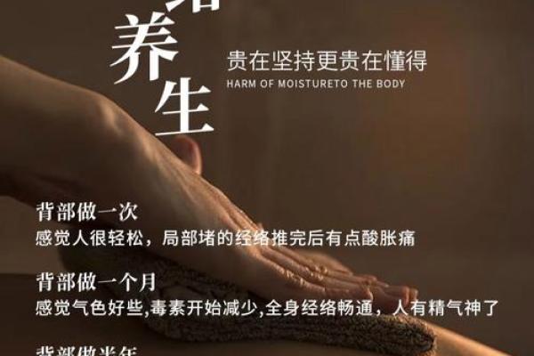 健康密码：地支运气教你养生之道