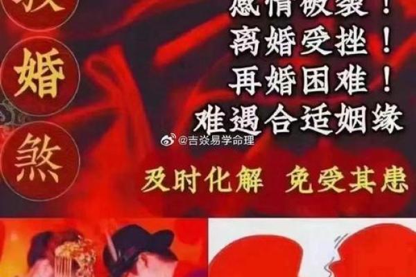 地支合婚大公开：找到你的最佳姻缘匹配