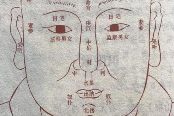 面相宅天宫：揭秘财运亨通的秘密之门