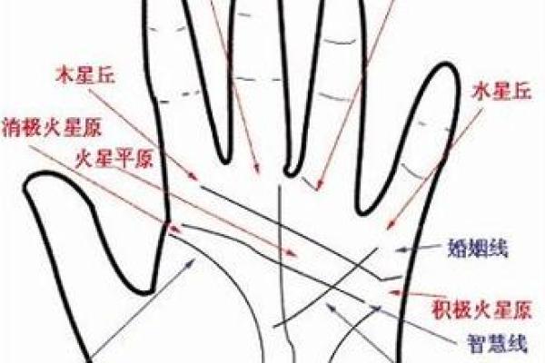 再婚女性的手相解读：探寻幸福二婚的幸运密码