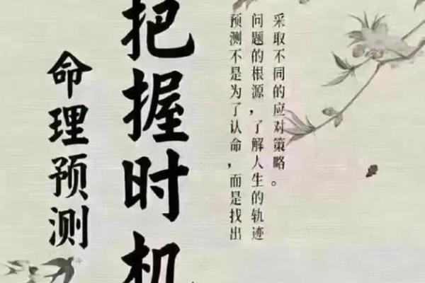 一窥未来：李俊辉带你走进神秘命理世界