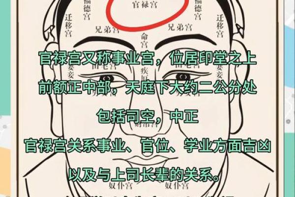 额头发黄面相揭秘：运势起伏与性格特征解析
