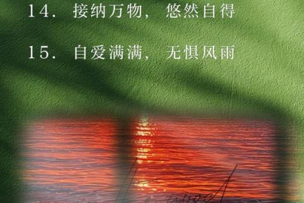 展维：璀璨星辰，维稳人生——智慧与稳定的完美结合