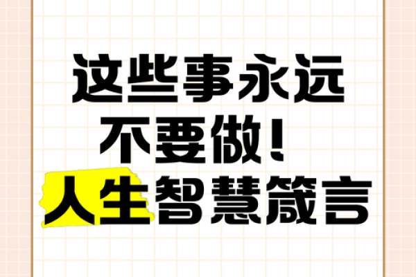 展维：璀璨星辰，维稳人生——智慧与稳定的完美结合