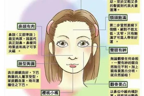 面相解析：五官布局中的和谐之美
