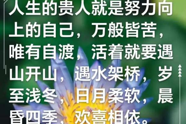 午时运势爆发，贵人助力你的人生巅峰