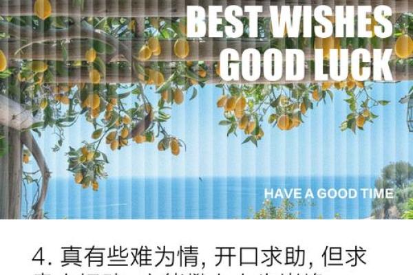 午时运势爆发，贵人助力你的人生巅峰