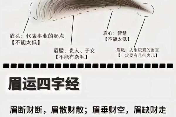 棋形眉面相解析：揭秘命运与性格的神秘密码
