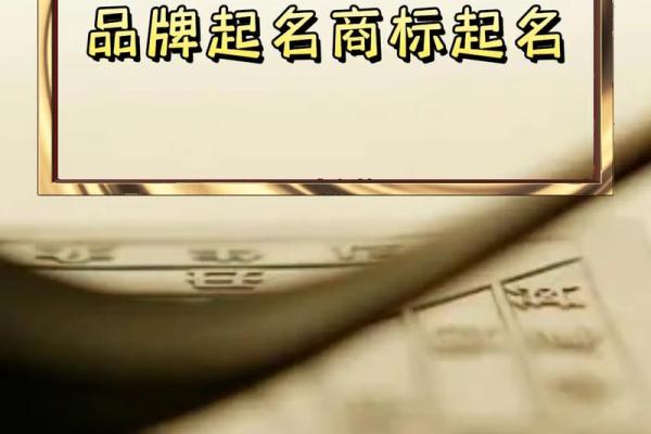 打造成功品牌：太字开头公司名字的选择要点