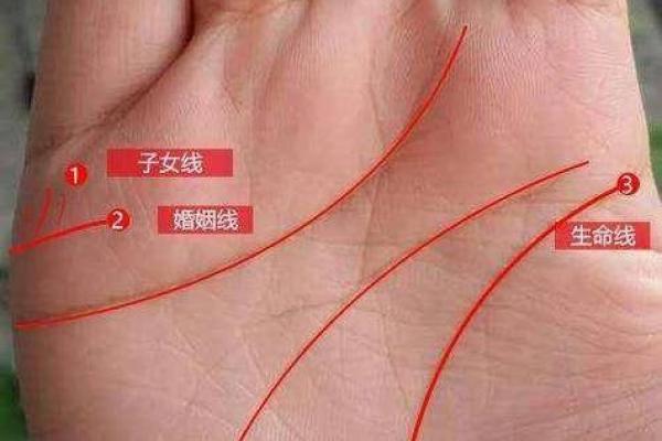 手相学大揭秘：她是如何通过手相断出未来的？