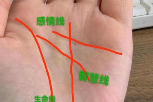 流苏手相解析：揭秘命运线中的流苏秘密