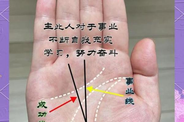 流苏手相解析：揭秘命运线中的流苏秘密