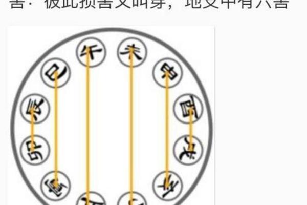 地支相冲：揭秘神秘冲突背后的神秘力量