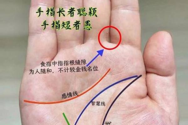 手相揭秘：圆圈在手，财运亨通的秘密！