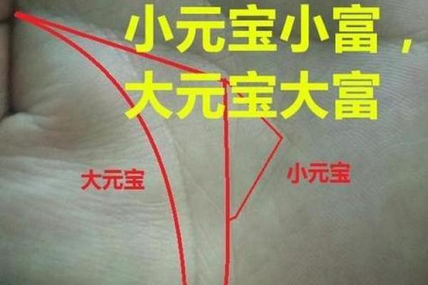 手相揭秘：圆圈在手，财运亨通的秘密！