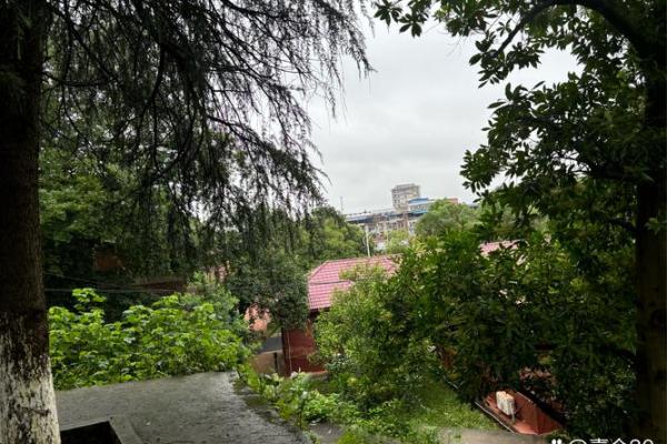 苦命男孩的悲怆面相：岁月在脸上刻下的无奈痕迹