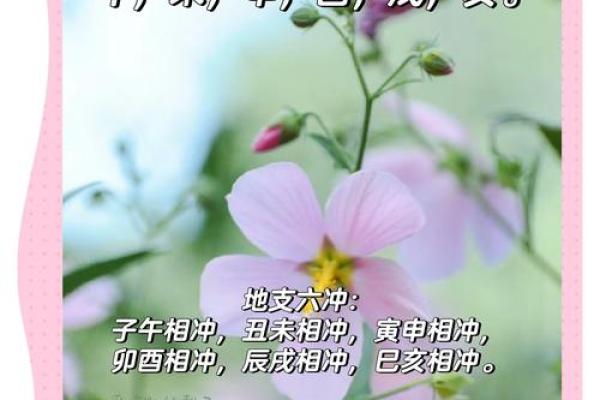 密藏之力，揭秘地支戍的秘密