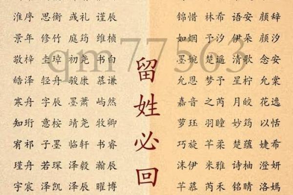 大宝二宝：寓意丰富的双胞胎名字解枿