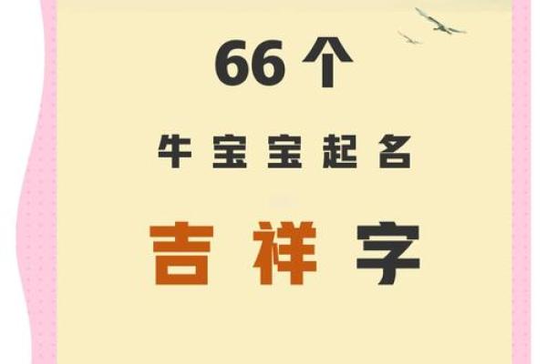 宝宝宣名字：蕴藏无尽潜能的吉祥之选