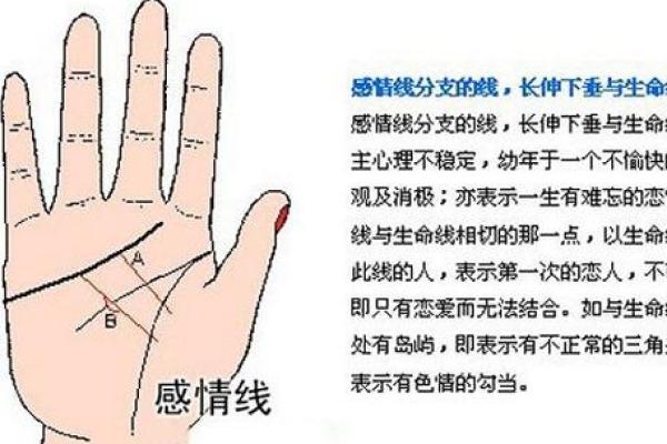 左手手相大揭秘，女性运势一览无遗