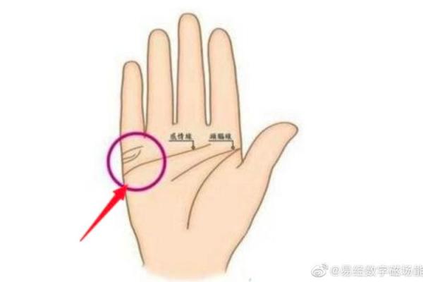 人缘磁场：揭秘手相中的秘密人缘线