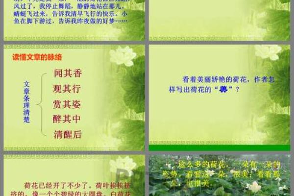 荷花在五行中的象征意义
