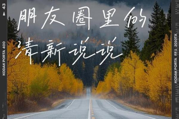 耳听心语面朝口