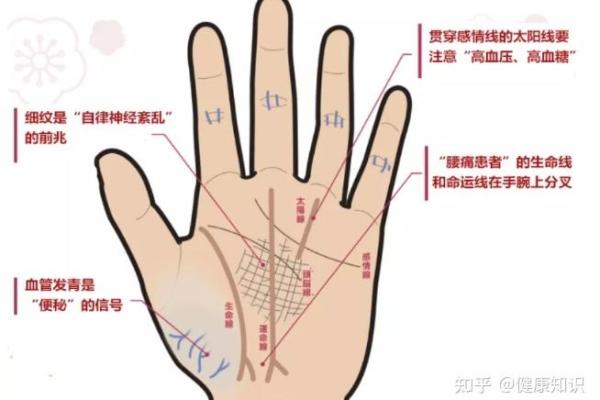 揭秘手相奥秘，轻松掌握运势密码！