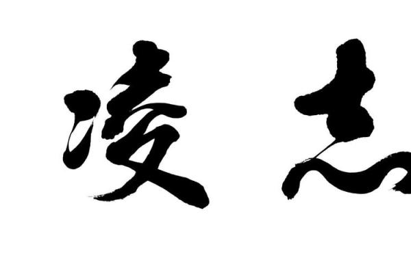 张壮：壮志凌云，勇往直前之大气之名