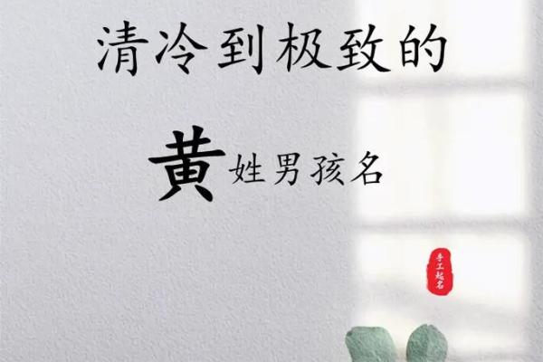 黄姓男孩取名技巧大揭秘