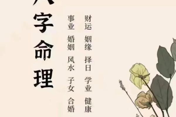 生辰八字子字对事业和财运的启示