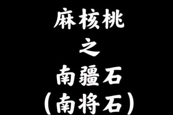 名字演变史：文玩群成员名字背后的奥秘