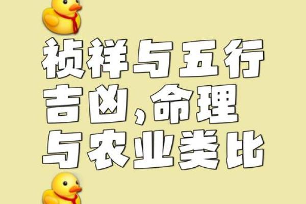 命理大师亲授：五行运势解析，解锁你的命运密码！