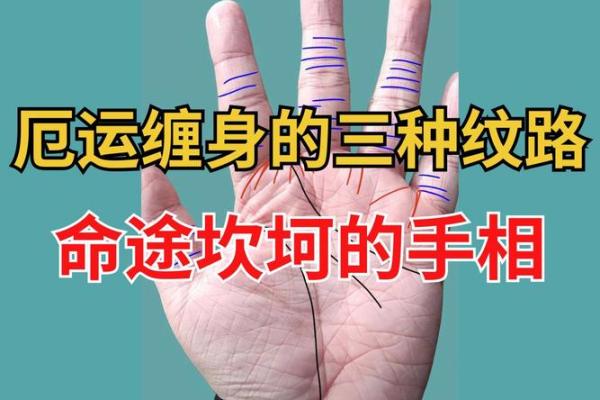 摆脱命运迷茫，手相解密十二地支力量