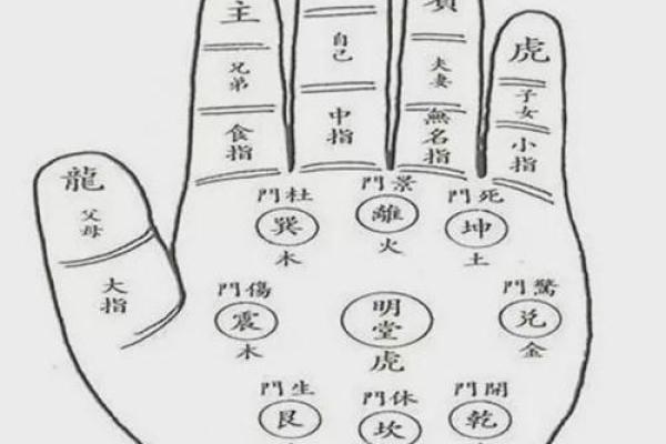 摆脱命运迷茫，手相解密十二地支力量