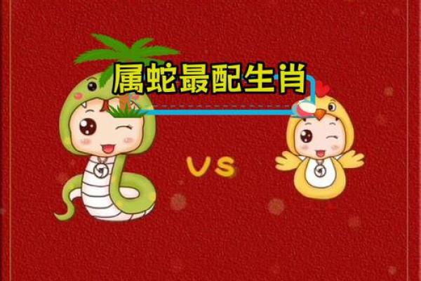 十二地支奇缘，蛇年生肖大解密
