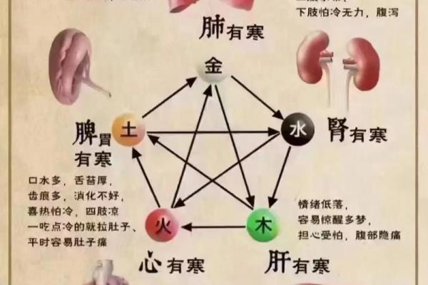 地支食神：解锁五行平衡的健康之道