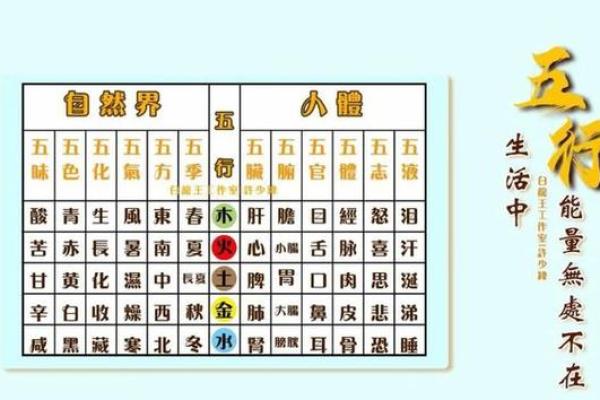 地支食神：解锁五行平衡的健康之道
