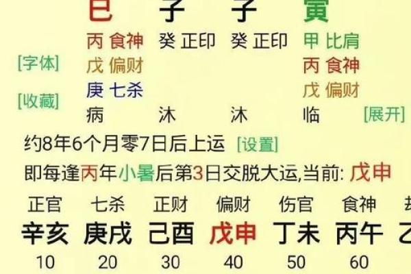 丁丑年五行属性解析