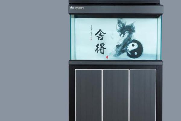 风水鱼缸招财秘籍，让你家财运滚滚来！