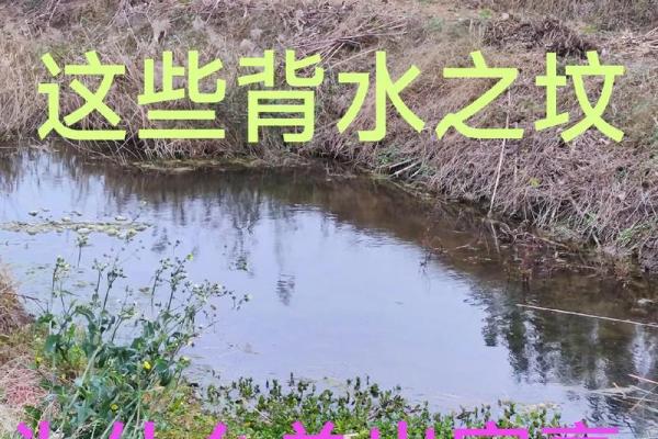风水大师亲授：轻松布局，让你财源滚滚的秘密武器