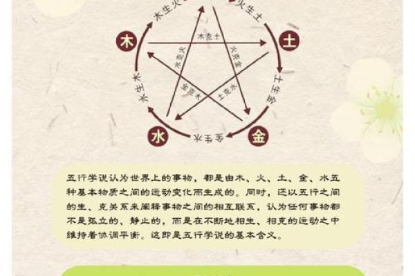 象牙与五行的关系详解