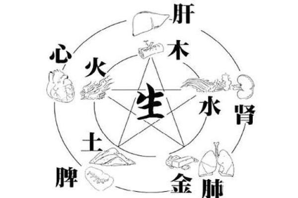 象牙与五行的关系详解