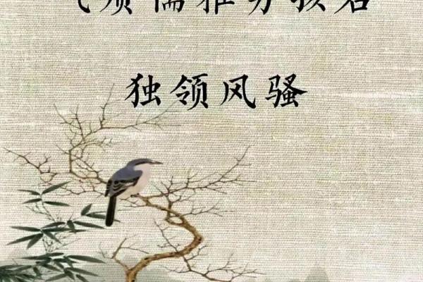 给男孩取名茗的独特含义与魅力