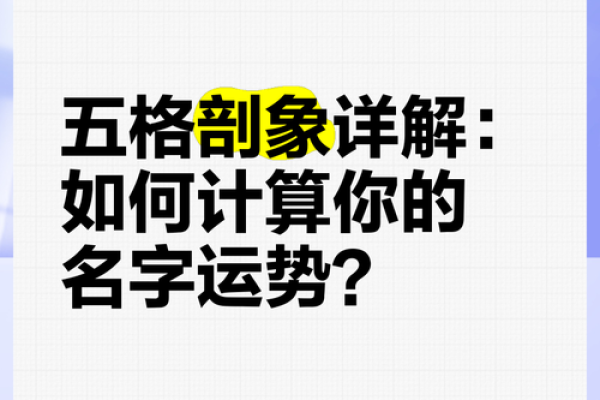 孙康博：智慧之光，博学多才，未来可期之姓名运势