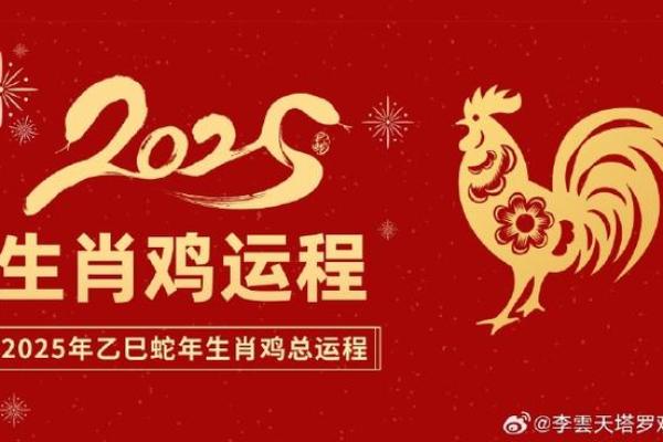 孙康博：智慧之光，博学多才，未来可期之姓名运势