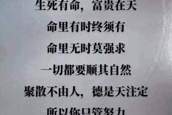 看透命运玄机，终南命理揭秘人生走向